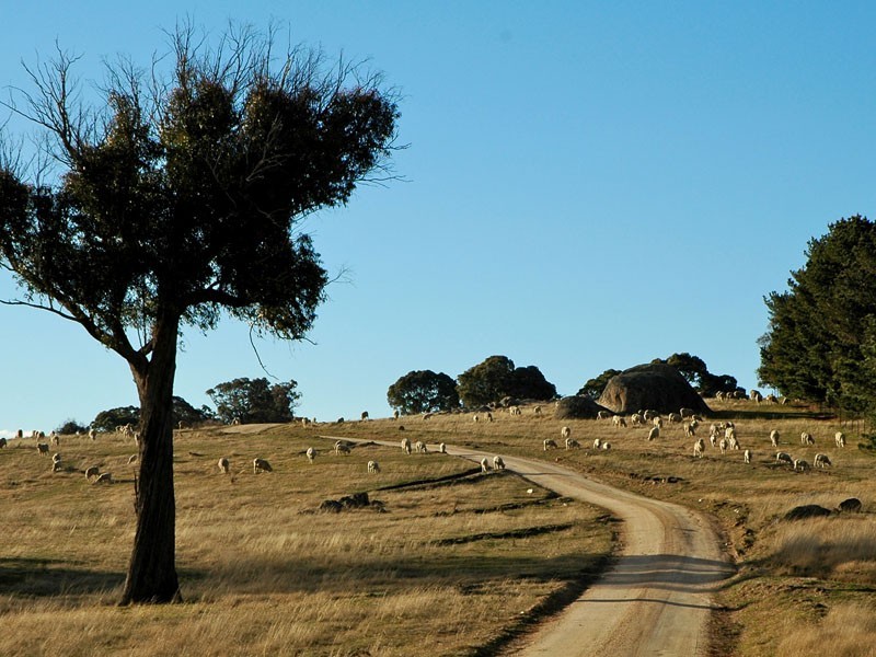 Bathurst NSW 2795
