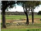 Bathurst NSW 2795
