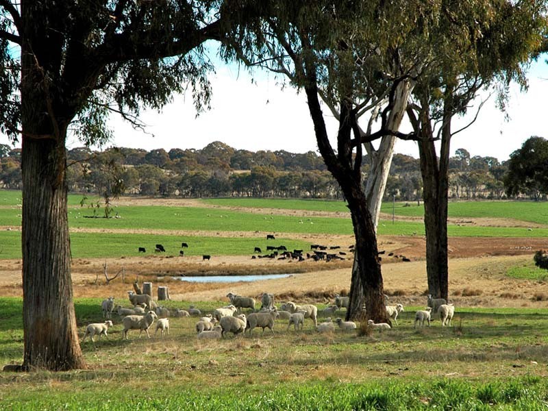 Bathurst NSW 2795