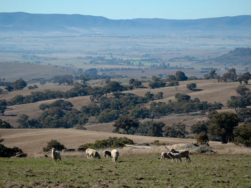 Bathurst NSW 2795
