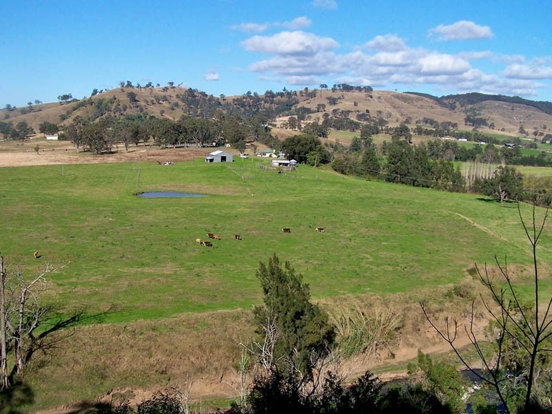 Mount Rivers NSW 2311