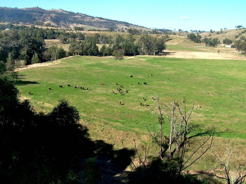 Mount Rivers NSW 2311