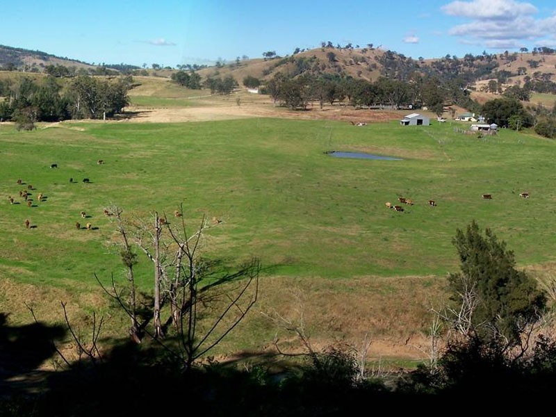 Mount Rivers NSW 2311
