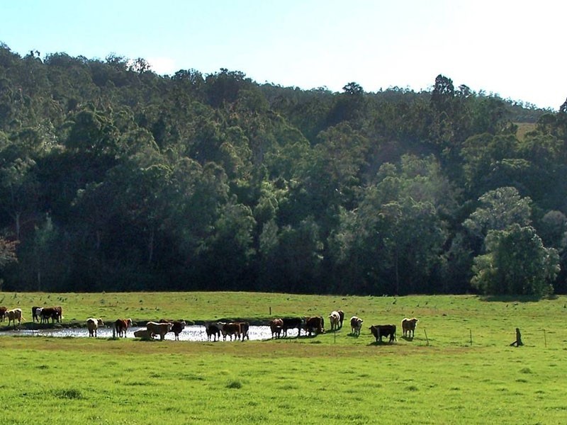 Mount Rivers NSW 2311