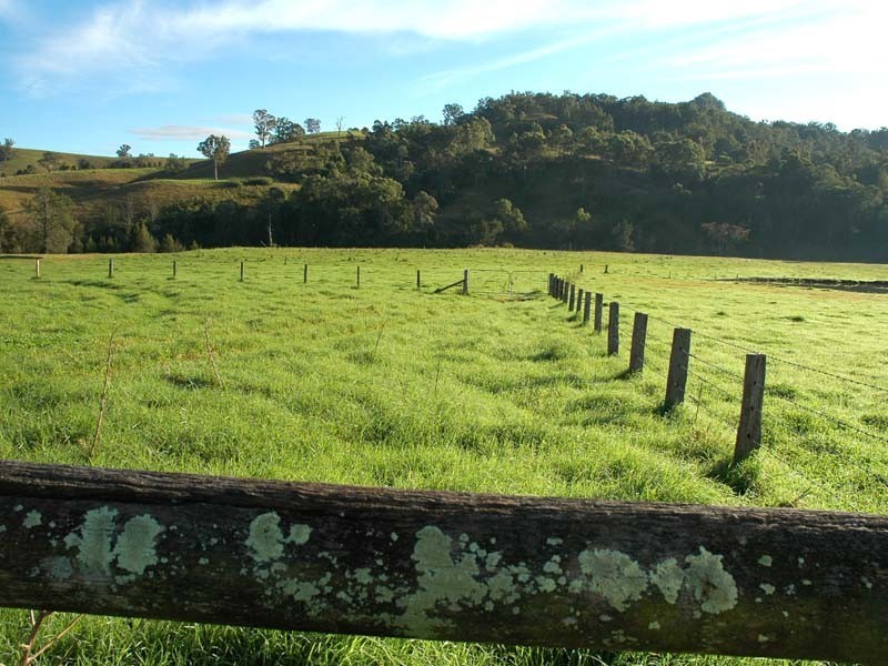 Mount Rivers NSW 2311