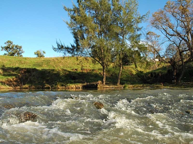 Mount Rivers NSW 2311