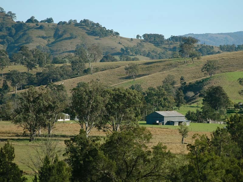 Mount Rivers NSW 2311