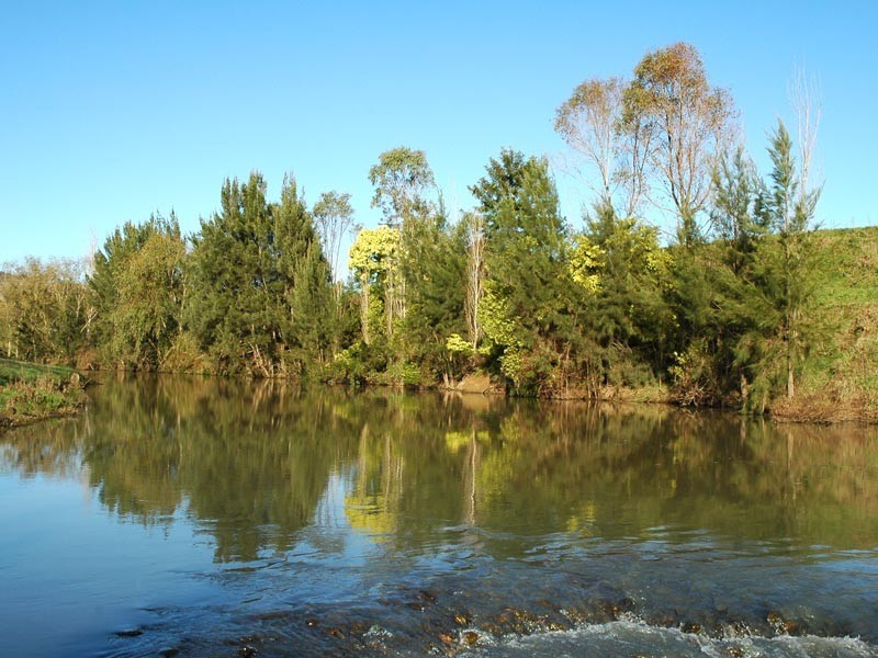 Mount Rivers NSW 2311