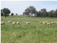 Cowra NSW 2794
