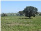 Cowra NSW 2794