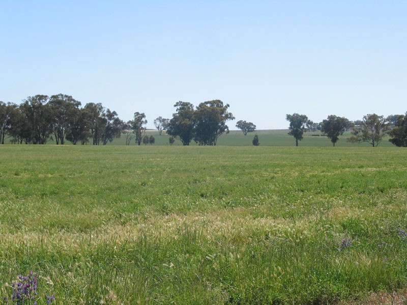 Cowra NSW 2794