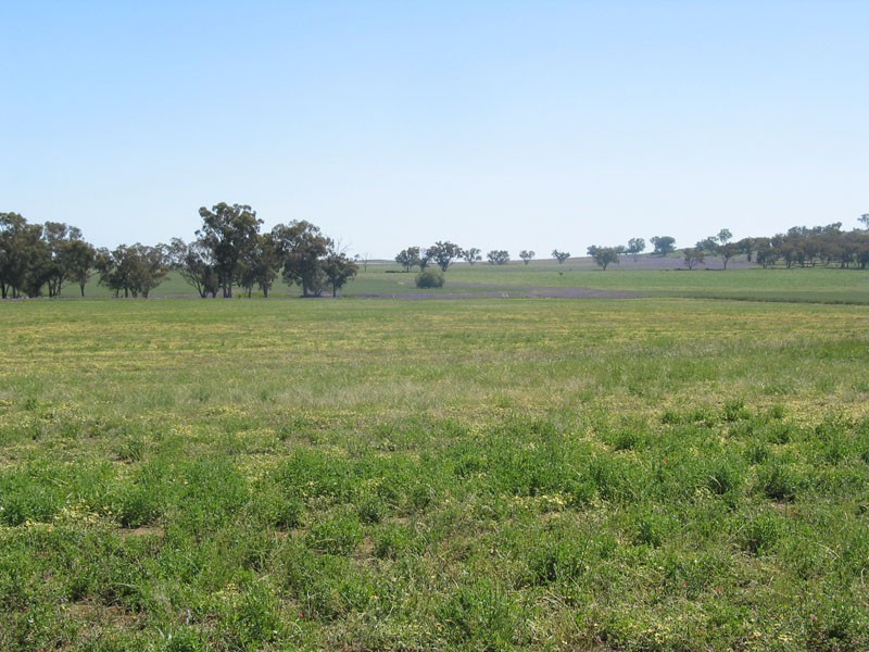 Cowra NSW 2794