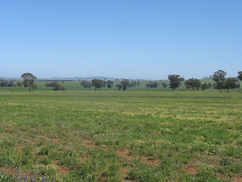 Cowra NSW 2794