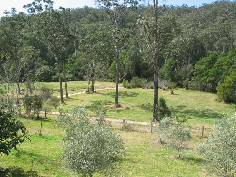 Bodalla NSW 2545