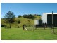 Gloucester NSW 2422