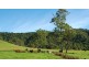 Gloucester NSW 2422