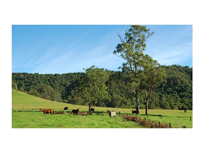 Gloucester NSW 2422