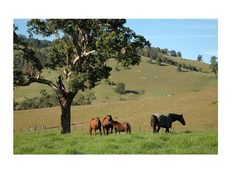 Gloucester NSW 2422