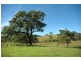 Gloucester NSW 2422