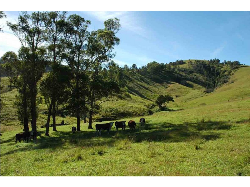 Gloucester NSW 2422