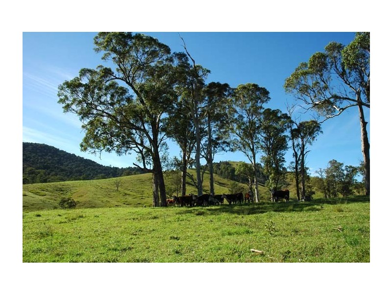 Gloucester NSW 2422