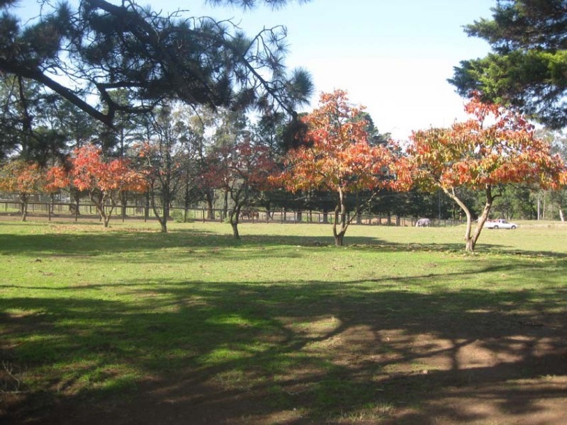Oakdale NSW 2570