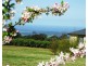 Berry NSW 2535