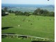 Berry NSW 2535