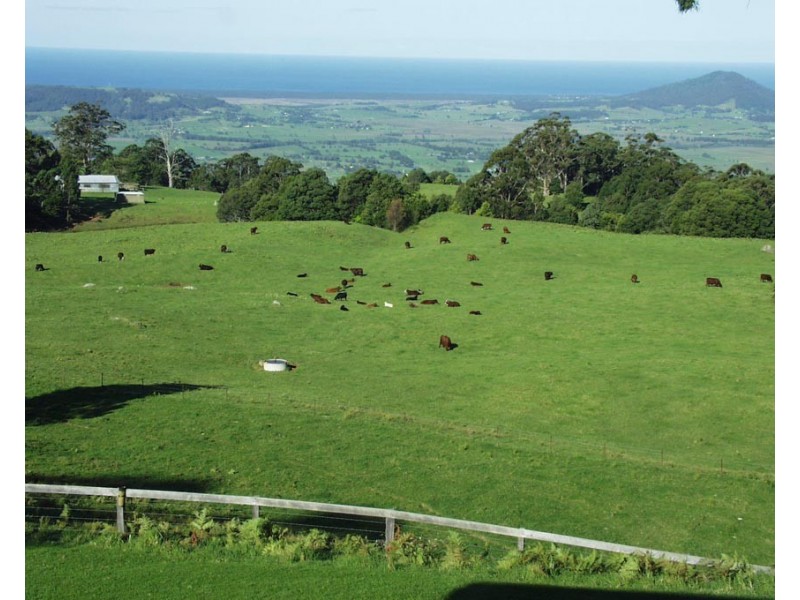 Berry NSW 2535