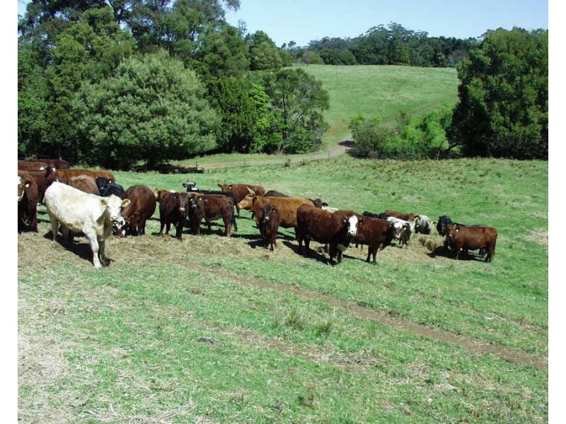 Berry NSW 2535