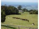 Berry NSW 2535