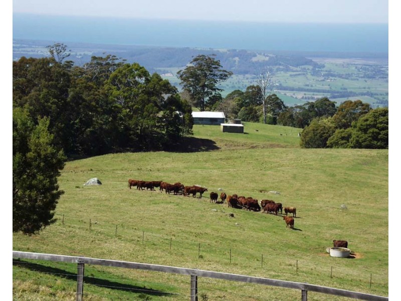 Berry NSW 2535