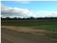 931 Nundle Road, Piallamore NSW 2340