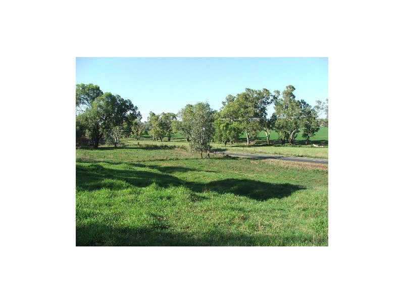 931 Nundle Road, Piallamore NSW 2340