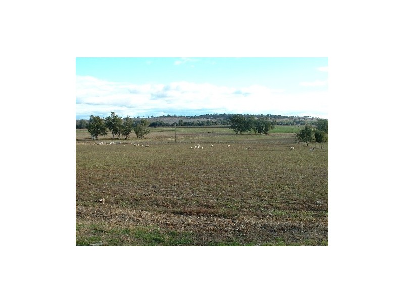 931 Nundle Road, Piallamore NSW 2340
