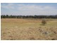 50 Haynes Lane, Kentucky NSW 2354