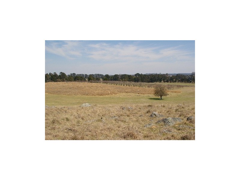 50 Haynes Lane, Kentucky NSW 2354