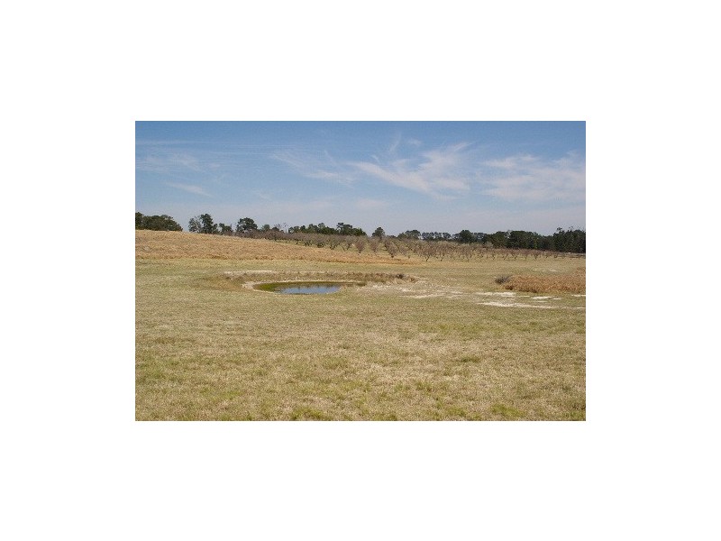 50 Haynes Lane, Kentucky NSW 2354