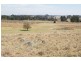 50 Haynes Lane, Kentucky NSW 2354