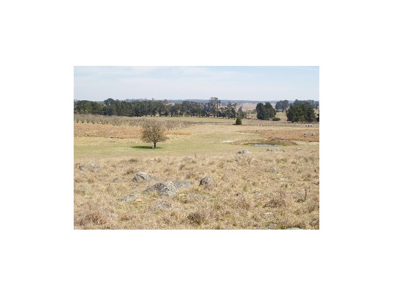 50 Haynes Lane, Kentucky NSW 2354