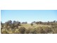 Lots 556, 567 & 570 Rifle Range Road, Uralla NSW 2358