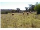 Lots 556, 567 & 570 Rifle Range Road, Uralla NSW 2358