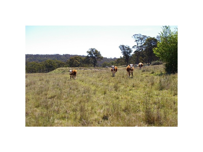 Lots 556, 567 & 570 Rifle Range Road, Uralla NSW 2358