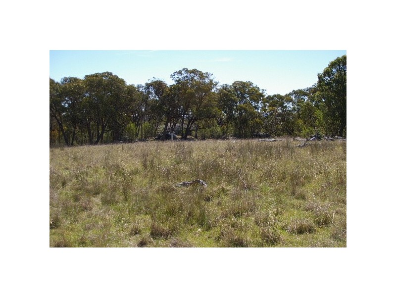 Lots 556, 567 & 570 Rifle Range Road, Uralla NSW 2358