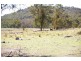 Lots 556, 567 & 570 Rifle Range Road, Uralla NSW 2358