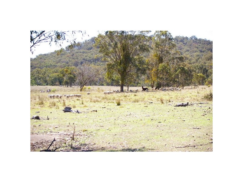 Lots 556, 567 & 570 Rifle Range Road, Uralla NSW 2358