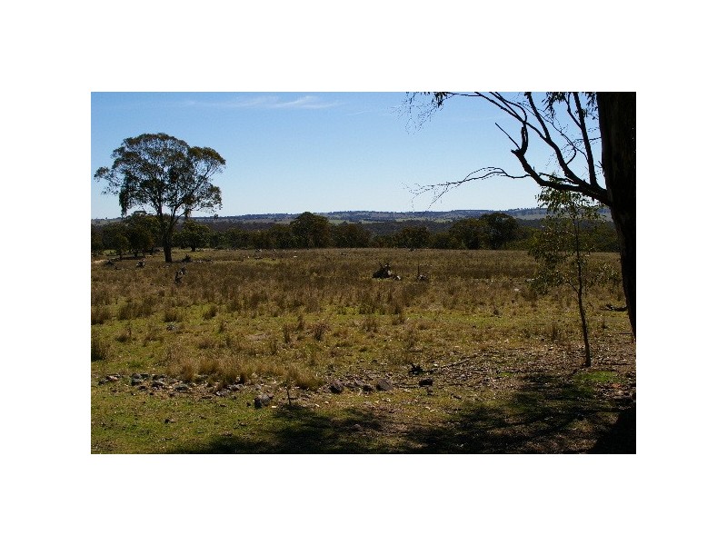 Lots 556, 567 & 570 Rifle Range Road, Uralla NSW 2358