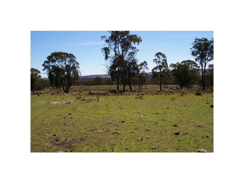 Lots 556, 567 & 570 Rifle Range Road, Uralla NSW 2358