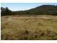 Lots 556, 567 & 570 Rifle Range Road, Uralla NSW 2358