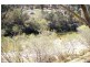 Lots 556, 567 & 570 Rifle Range Road, Uralla NSW 2358